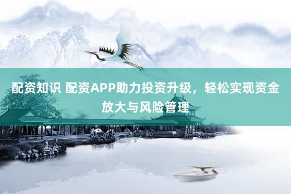 配资知识 配资APP助力投资升级，轻松实现资金放大与风险管理