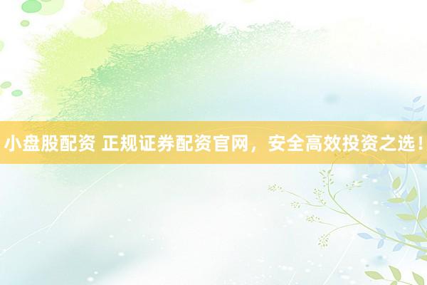小盘股配资 正规证券配资官网，安全高效投资之选！