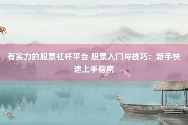 有实力的股票杠杆平台 股票入门与技巧：新手快速上手指南
