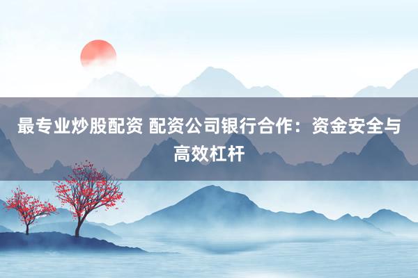 最专业炒股配资 配资公司银行合作：资金安全与高效杠杆