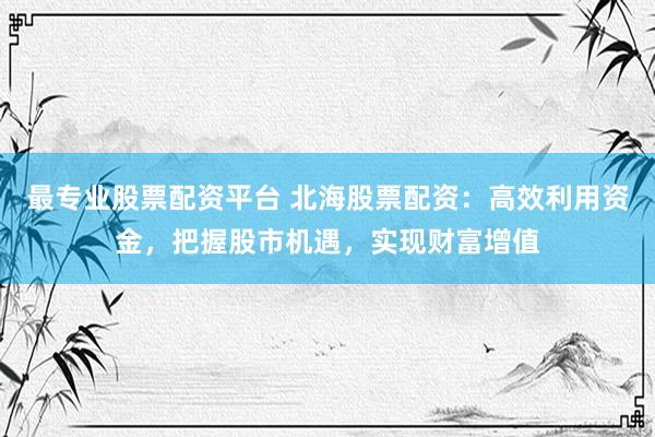最专业股票配资平台 北海股票配资：高效利用资金，把握股市机遇，实现财富增值