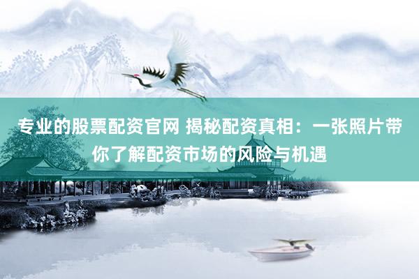 专业的股票配资官网 揭秘配资真相：一张照片带你了解配资市场的风险与机遇
