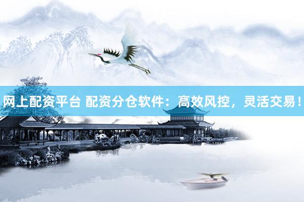 网上配资平台 配资分仓软件：高效风控，灵活交易！