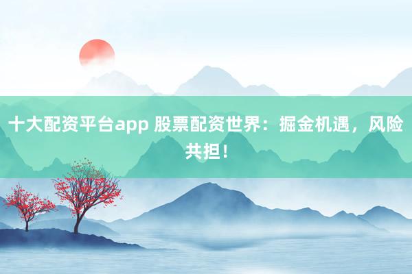 十大配资平台app 股票配资世界：掘金机遇，风险共担！