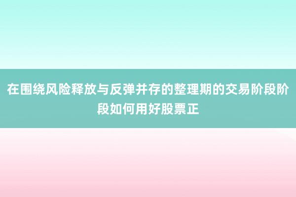 在围绕风险释放与反弹并存的整理期的交易阶段阶段如何用好股票正