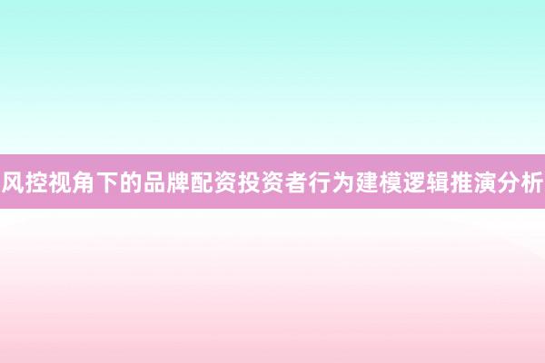 风控视角下的品牌配资投资者行为建模逻辑推演分析